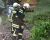 20062012_unwetter-bez-nk_foto-einsatzdoku-at_26