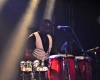 ROOTS MUSIC FESTIVAL (279)