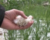 unwetter-130504_c_einsatzdoku-at_0134