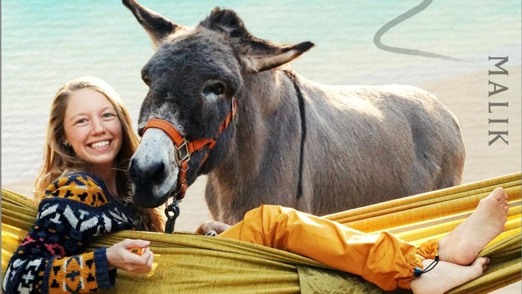 Lotta und ihr Esel Jonny reisen gemeinsam im ausgebauten Camper zum Überwintern an die Küste