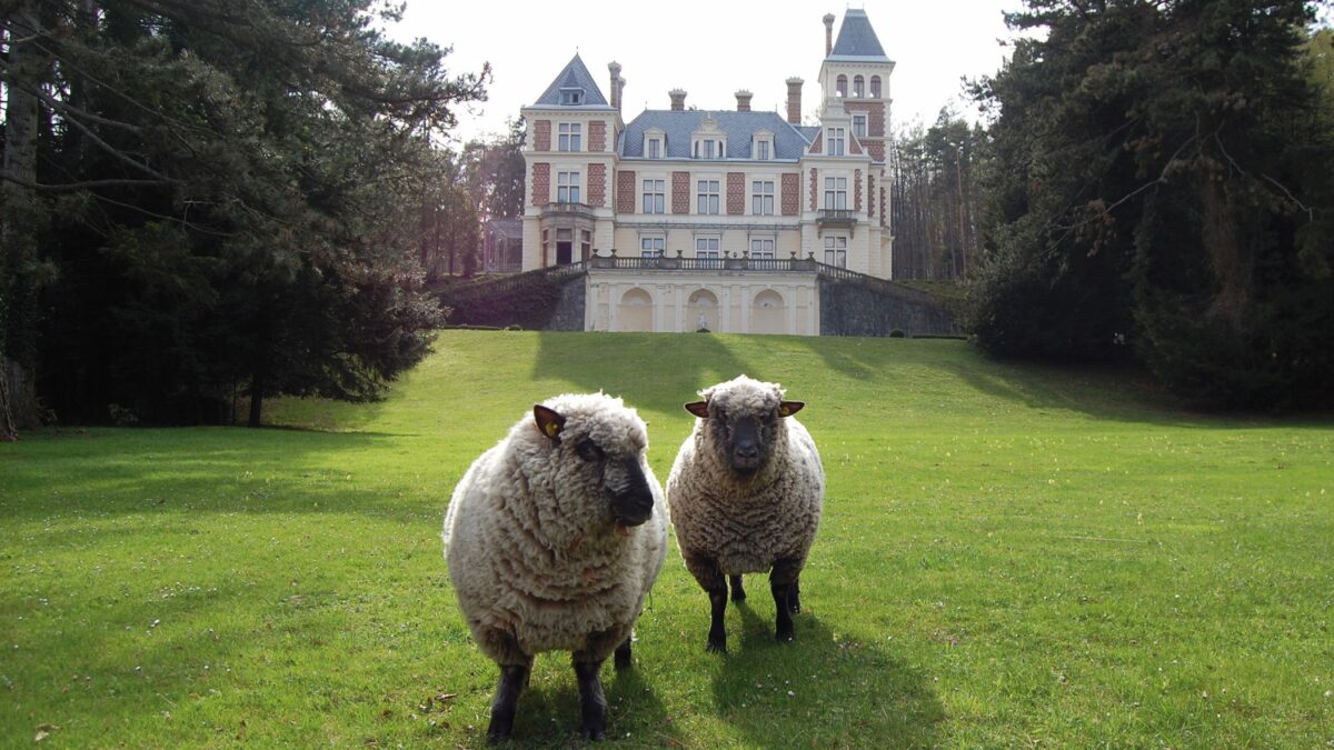 Schloss-Wartholz-in-Reichenau-pr-sentiert-ab-Juni-ein-ganzj-hriges-Kulturprogramm-mit-dem-Schwerpunkt-klassische-Musik-