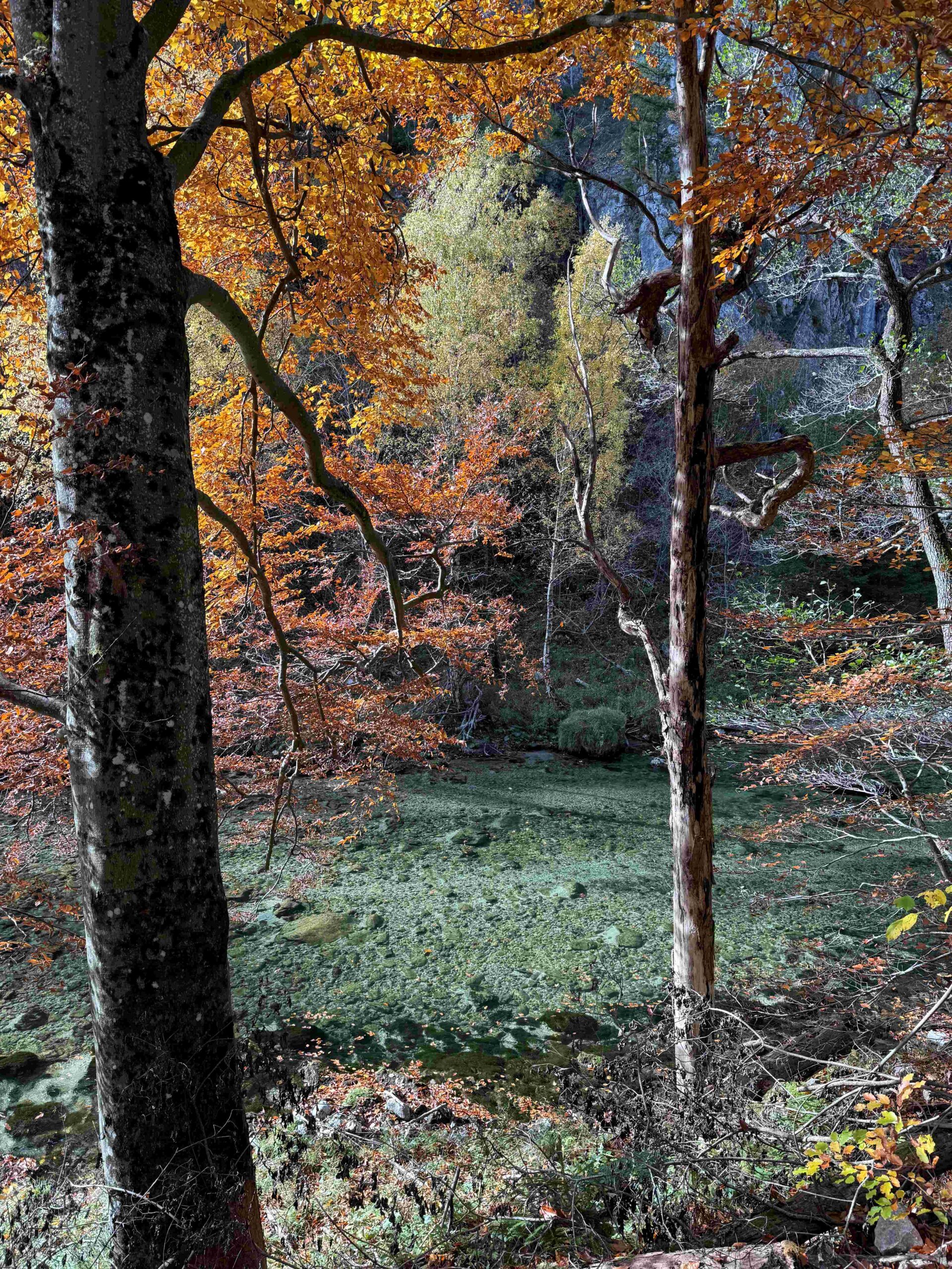 Das erste Teilstück des neuen Flusswanderwegs im Höllental von Kaiserbrunn zum Weichtalhaus ist ein entspannender Naturpfad